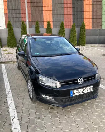 samochody osobowe Volkswagen Polo cena 31500 przebieg: 95980, rok produkcji 2013 z Kórnik